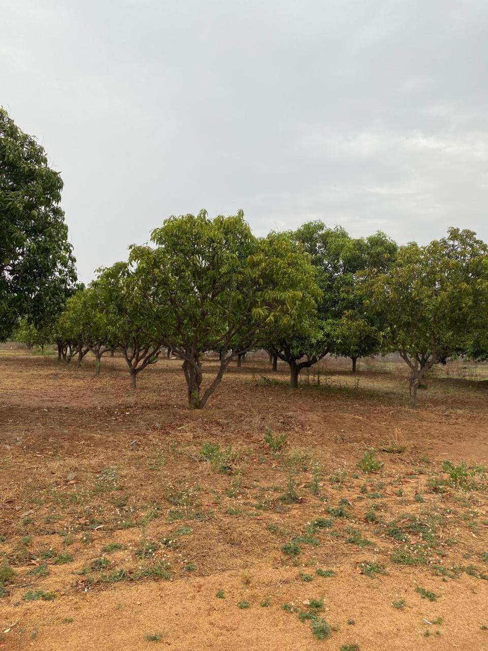 Pn Farm Villa Haïdarabad Extérieur photo
