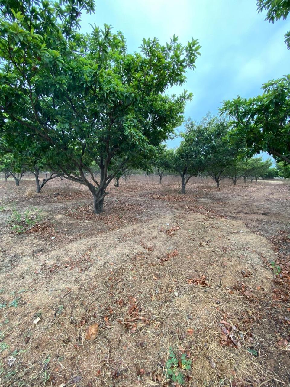 Pn Farm Villa Haïdarabad Extérieur photo